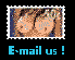 EMAIL US!